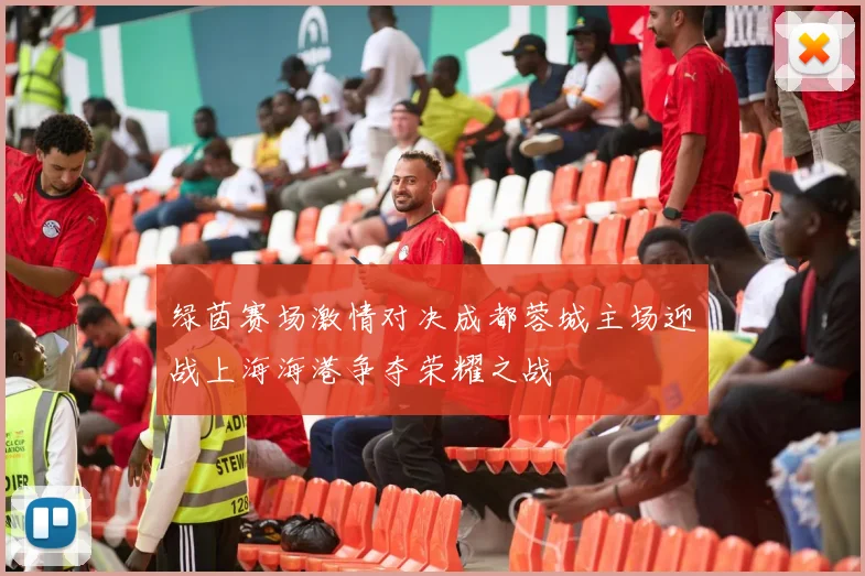 绿茵赛场激情对决成都蓉城主场迎战上海海港争夺荣耀之战